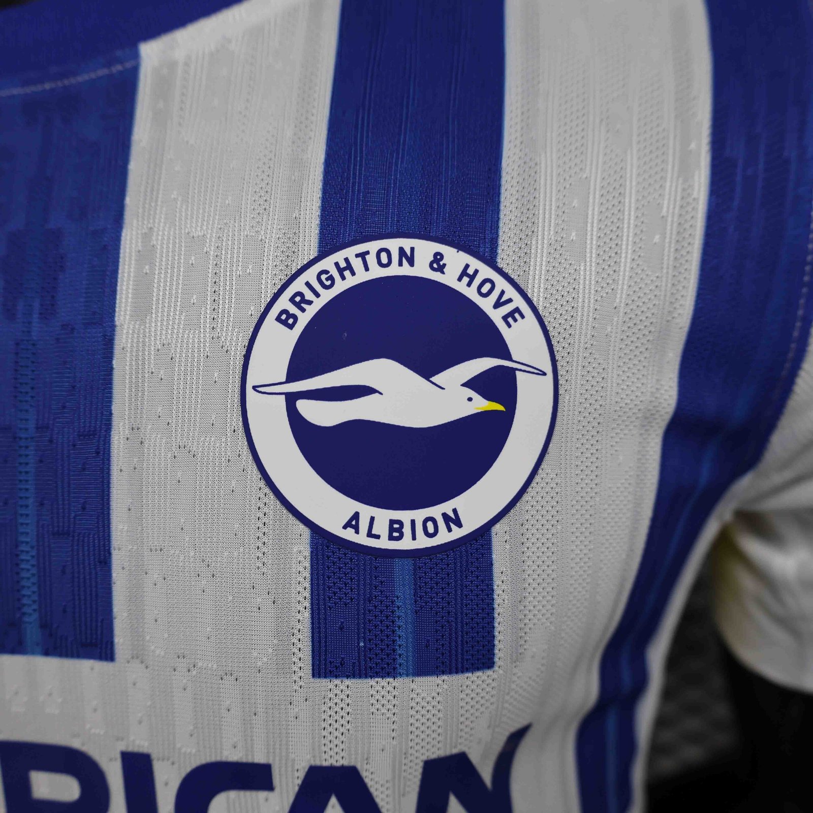 Brighton & Hove Albion Authentic Football Jersey Home Shirt 2024/25 - Image 5