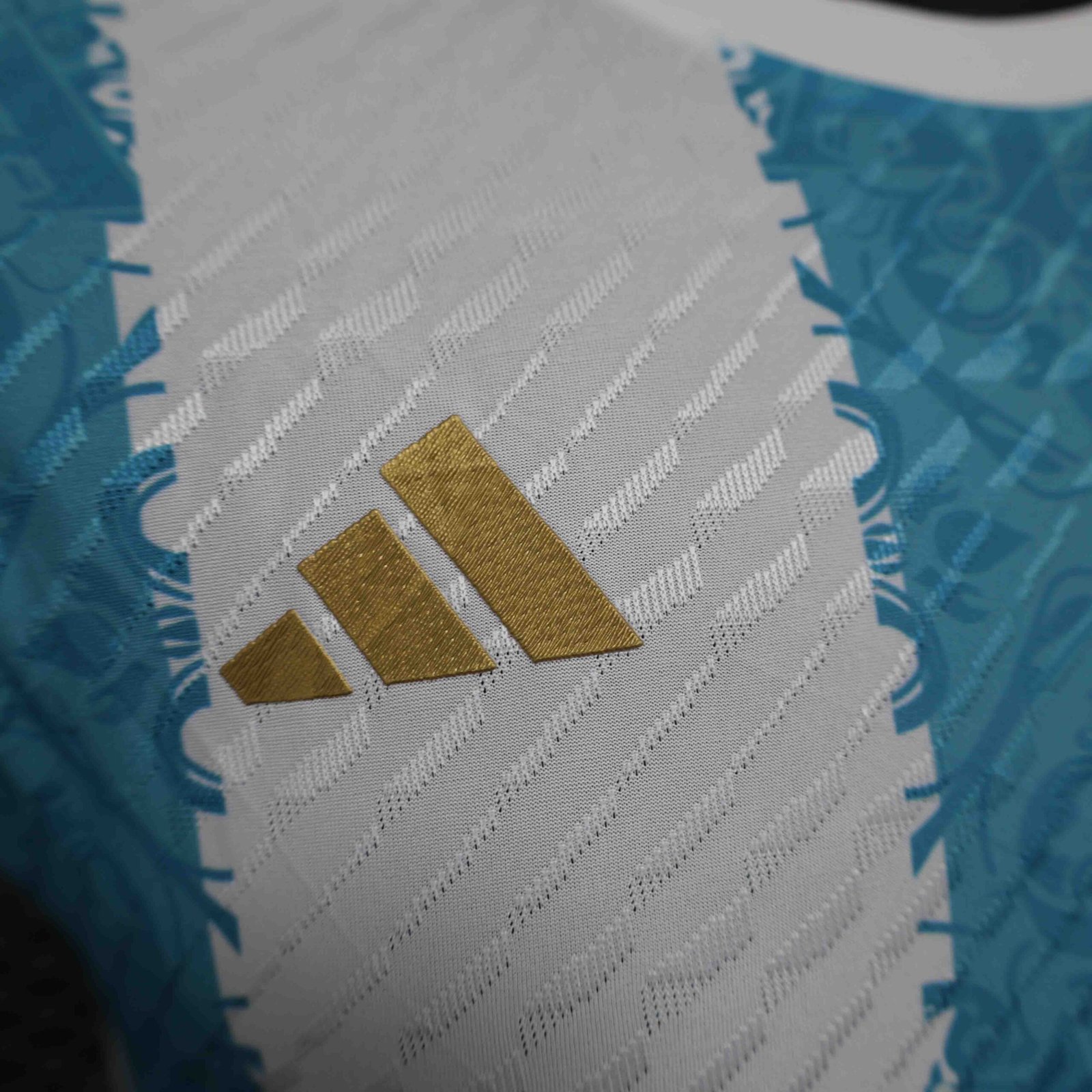 Argentina Authentic Soccer Jersey Special Edition 2024 - Image 6